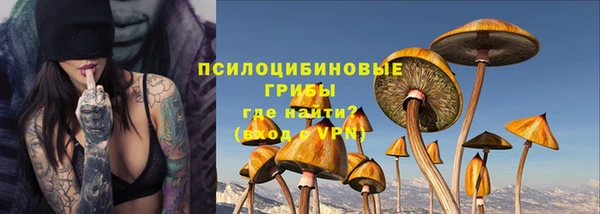 ПСИЛОЦИБИНОВЫЕ ГРИБЫ Балахна