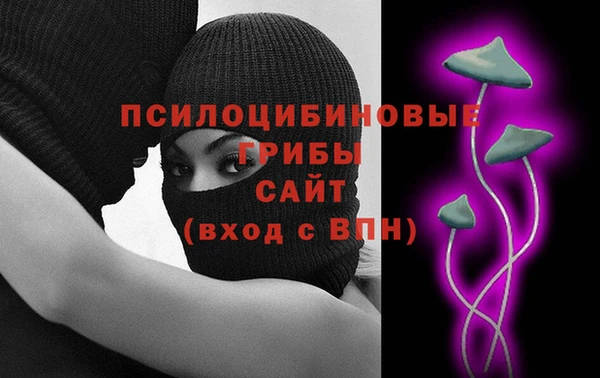 ПСИЛОЦИБИНОВЫЕ ГРИБЫ Балахна
